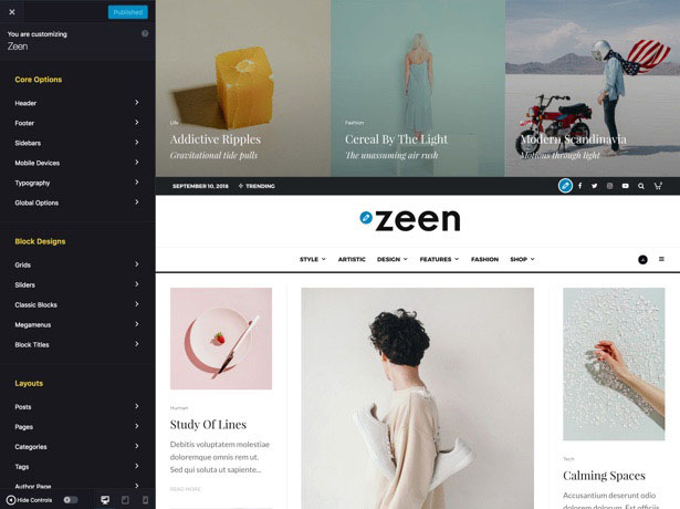 Zeen Magazine Theme Customizer Theme Options
